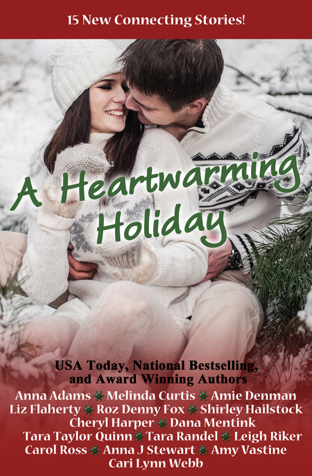 A Heartwarming Holiday by Shirley Hailstock