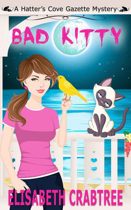 Bad Kitty by Elisabeth Crabtree