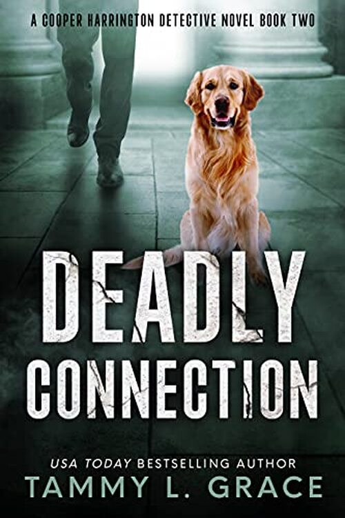 Deadly Connection by Tammy L. Grace
