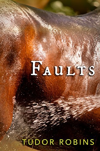 Faults by Tudor Robins