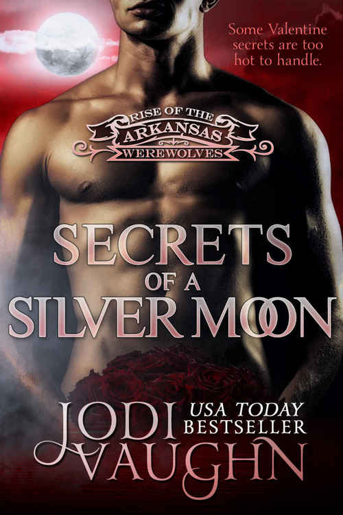 Secrets Of A Silver Moon by Jodi Vaughn