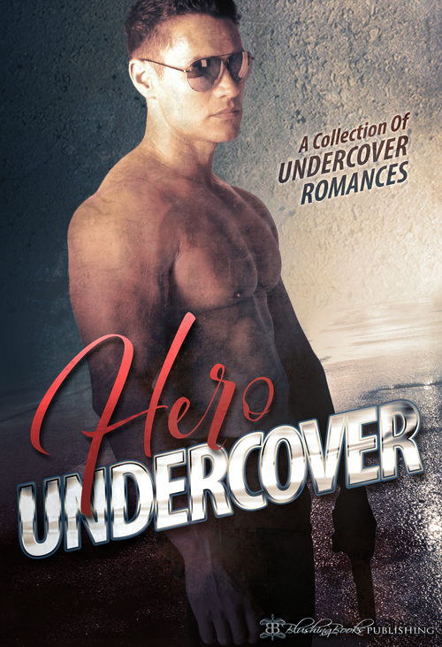 Hero Undercover by Anya Summers