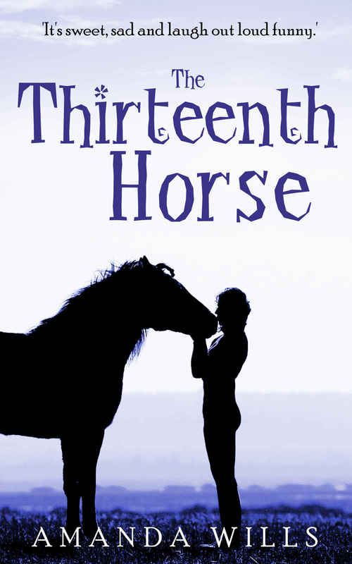 THE THIRTEENTH HORSE