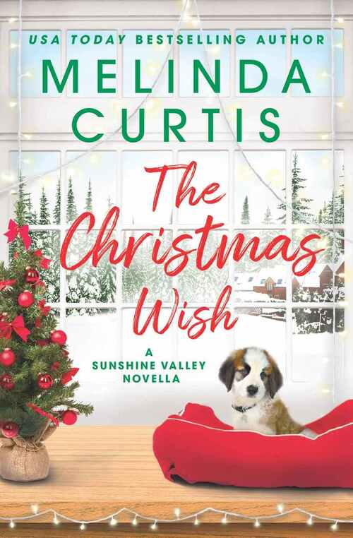 The Christmas Wish by Melinda Curtis
