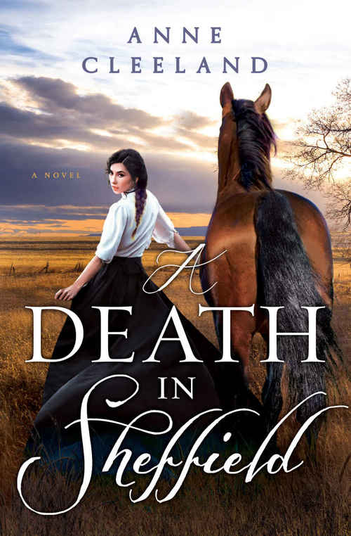 A Death in Sheffield by Anne Cleeland