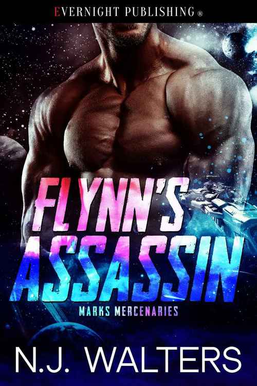 Flynn's Assassin by N.J. Walters