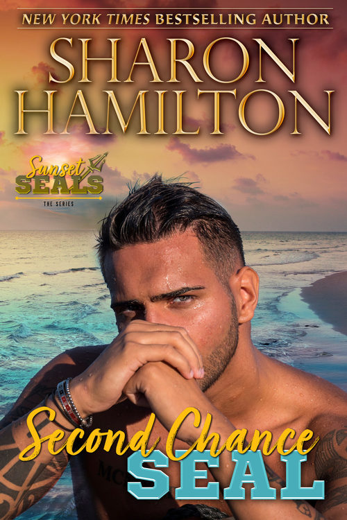 Second Chance SEAL by Sharon Hamilton