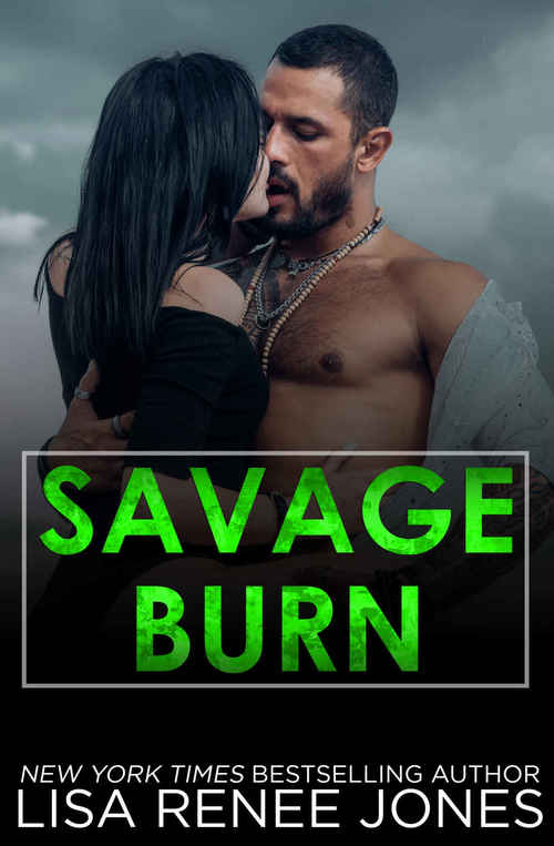 Savage Burn by Lisa Renee Jones