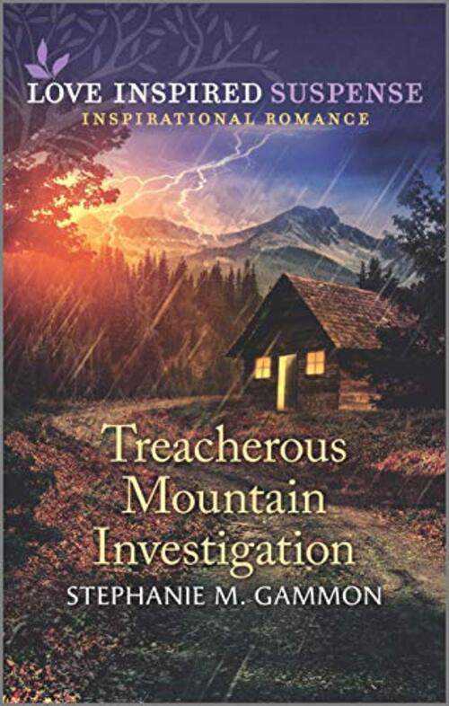 Treacherous Mountain Investigation by Stephanie M. Gammon