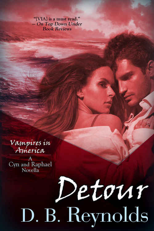 Detour by D.B. Reynolds