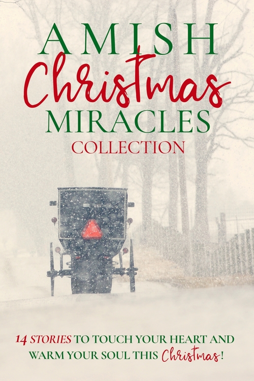 Amish Christmas Miracles by Lenora Worth