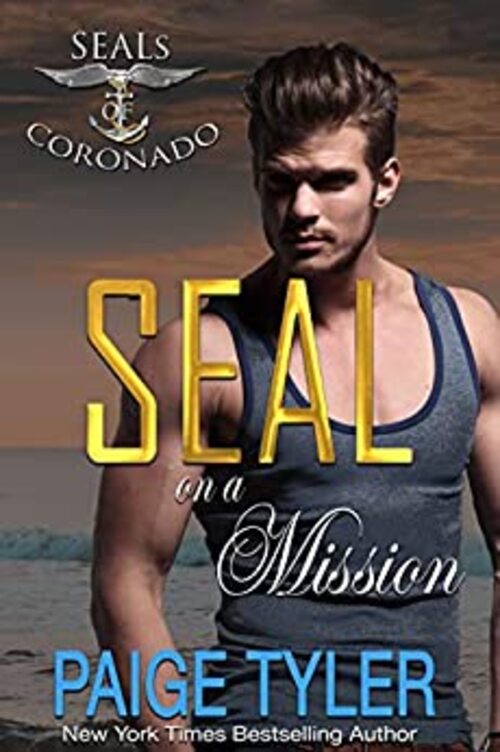 SEAL on a Mission by Paige Tyler