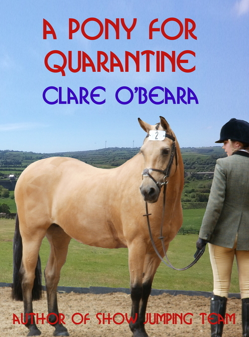 A Pony For Quarantine by Clare O'Beara
