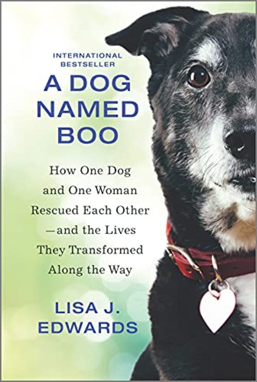 A Dog Named Boo by Lisa J. Edwards