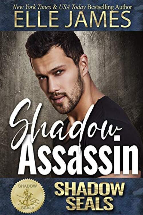 Shadow Assassin by Elle James