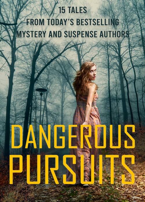 Dangerous Pursuits by Terri Reed