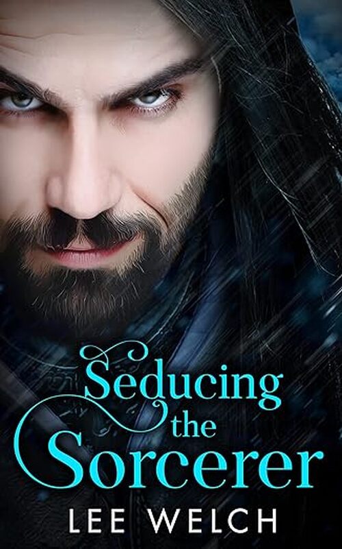 Seducing the Sorcerer by Lee Welch