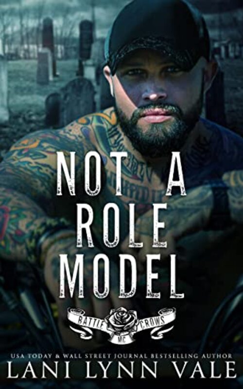 Not A Role Model by Lani Lynn Vale