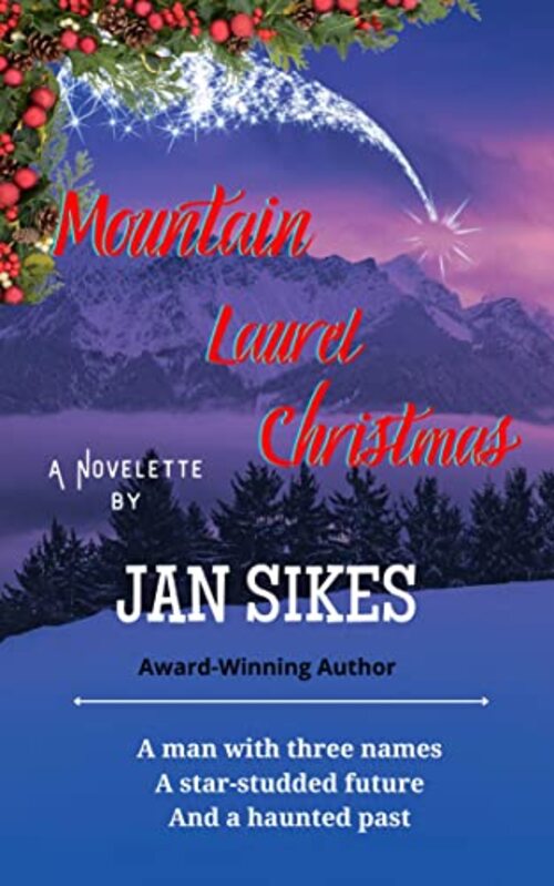 Mountain Laurel Christmas by Jan Sikes