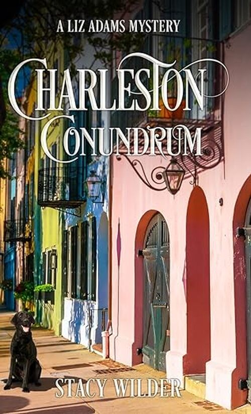 Charleston Conundrum by Stacy Wilder