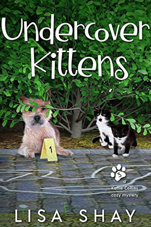Undercover Kittens by Lisa Shay