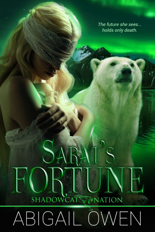 Sarai's Fortune by Abigail Owen