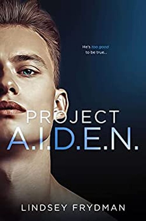 Project A.I.D.E.N. by Lindsey Frydman