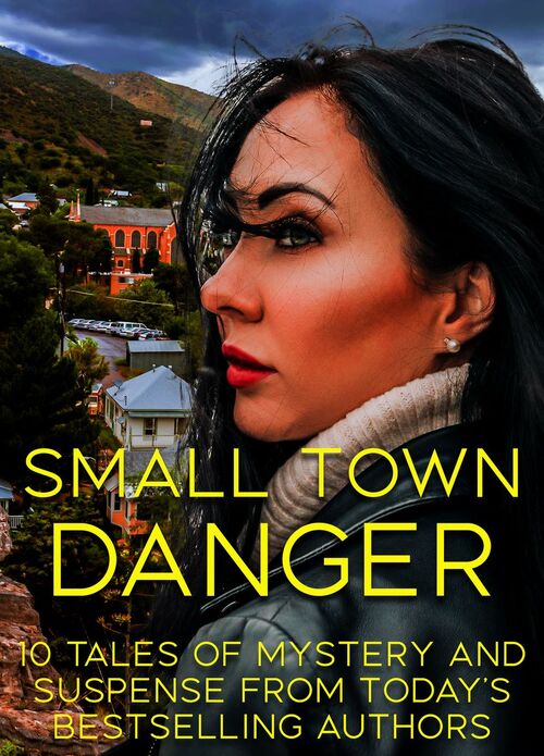 Small Town Danger by Mary Alford