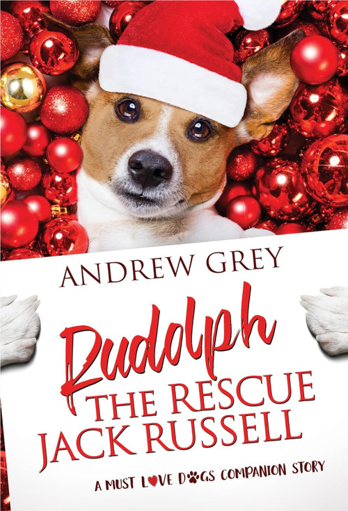 Rudolph the Rescue Jack Russell by Andrew Grey