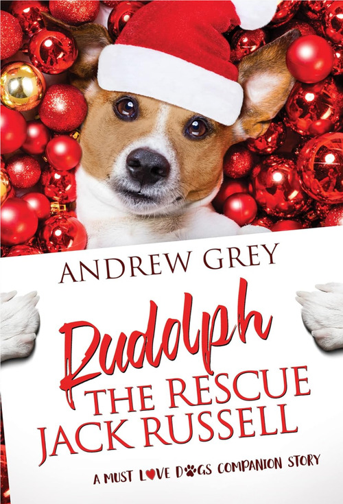 Rudolph the Rescue Jack Russell by Andrew Grey