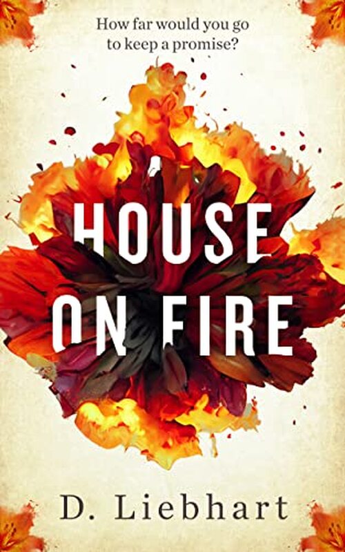 House on Fire by D Liebhart
