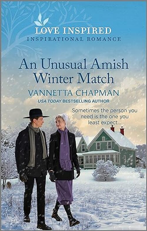 An Unusual Amish Winter Match by Vannetta Chapman