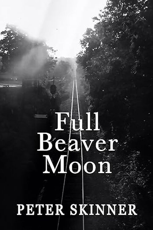 Full Beaver Moon by Peter Skinner