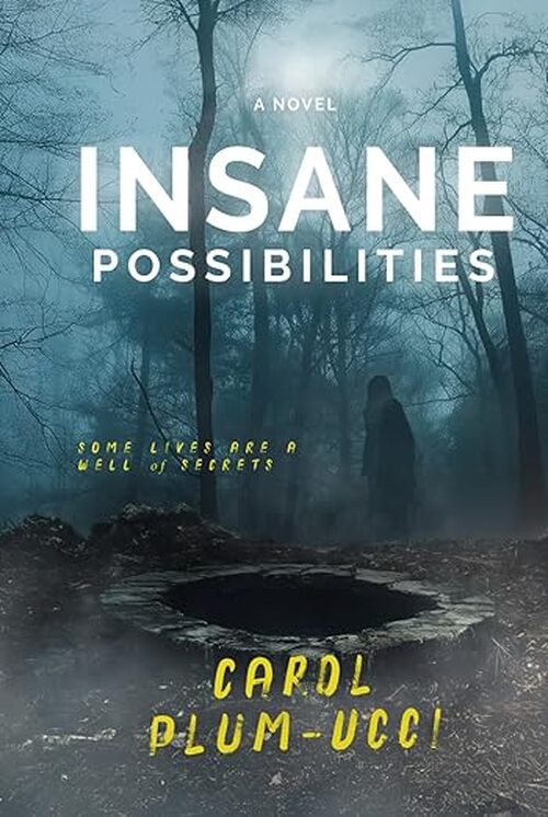 Insane Possibilities by Carol Plum-Ucci