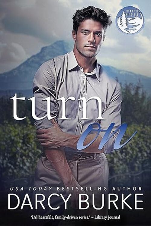Turn On by Darcy Burke