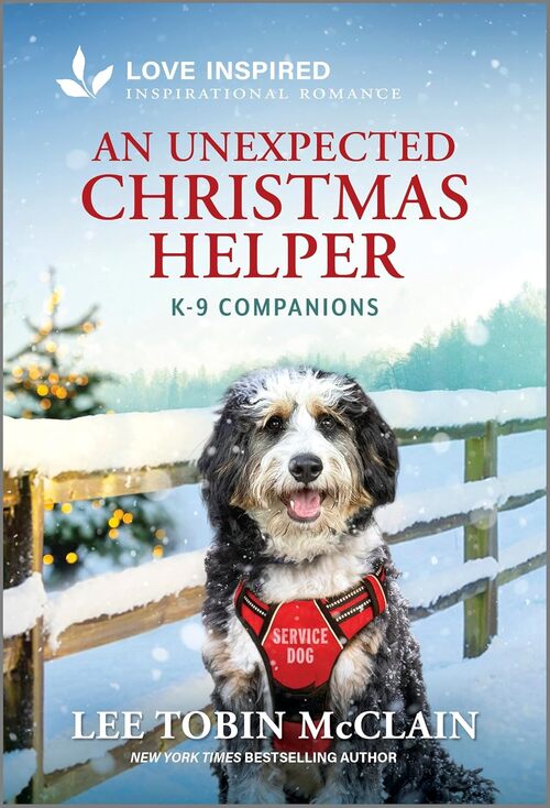 An Unexpected Christmas Helper by Lee Tobin McClain