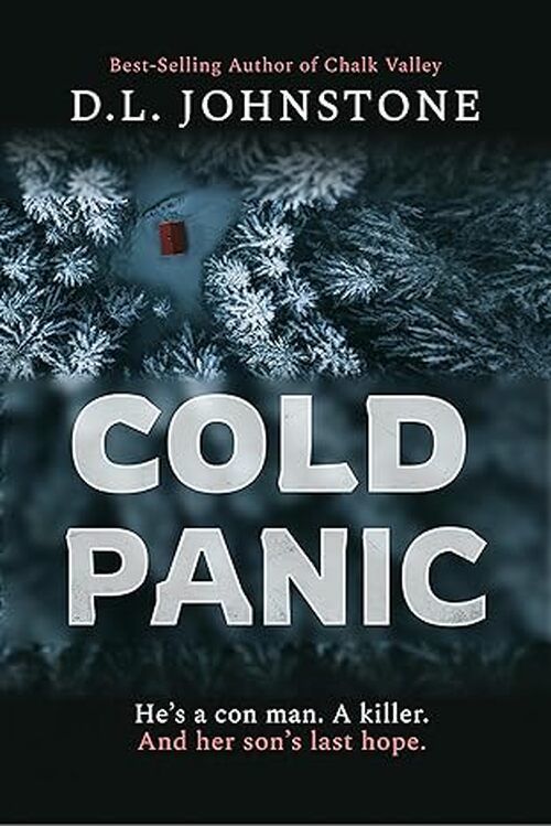 Cold Panic by D.L. Johnstone