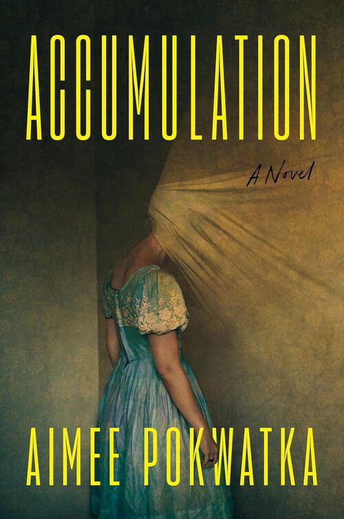 Accumulation by Aimee Pokwatka