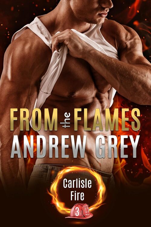 From the Flames by Andrew Grey