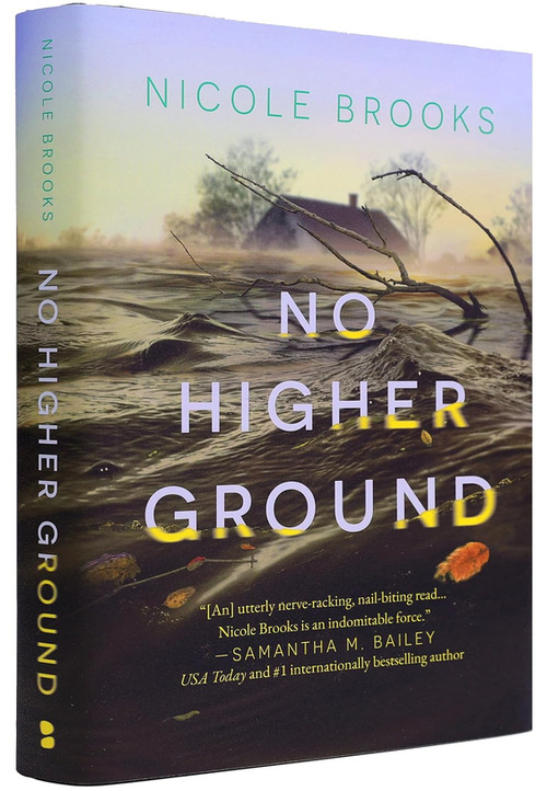 No Higher Ground by Cassandra Campbell