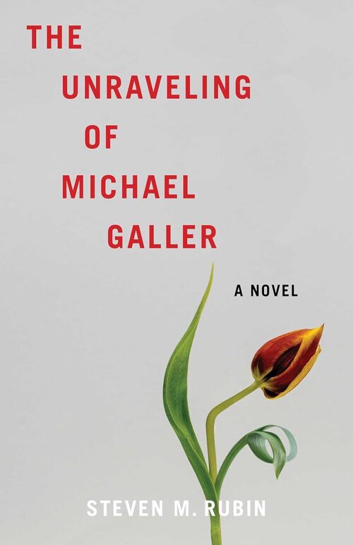 The Unraveling of Michael Galler by Steven M. Rubin