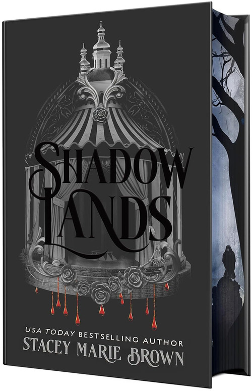 Shadow Lands by Stacey Marie Brown