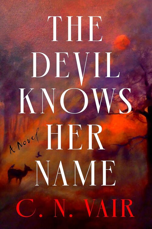 The Devil Knows Her Name by C.N. Vair