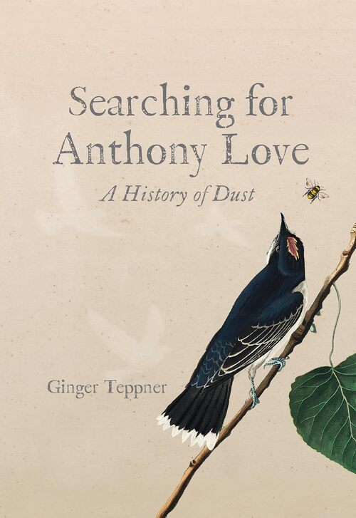 Searching for Anthony Love by Ginger Teppner