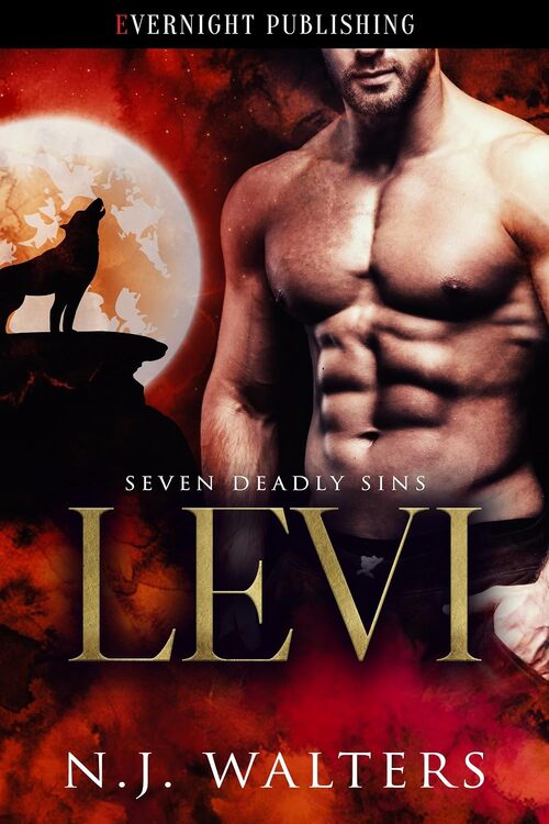 Levi by N.J. Walters