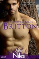 THE
AWAKENING: BRITTON